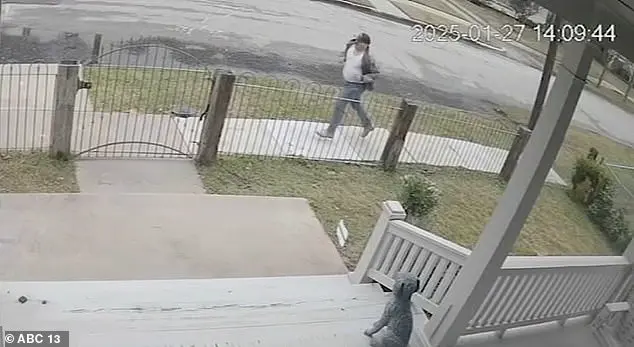 Surveillance Footage Captures Terrifying Attempted Grope of Young Girl in Houston