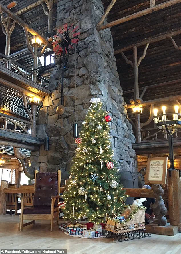 Exclusive Access to Yellowstone's Unique August Christmas Tradition