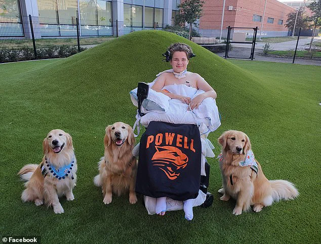 Tragic Collision Sparks Debate Over Vehicle Safety Regulations