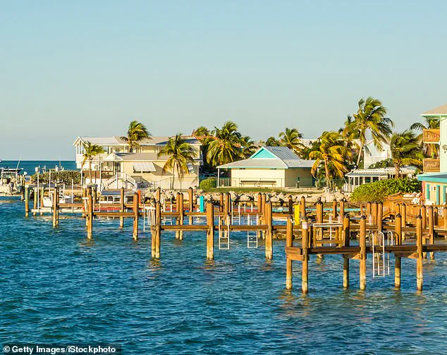 Miraculous Rescue on Labor Day: 8-Year-Old Boy Saved from Shark Attack by Sister and Stranger Off Florida Coast
