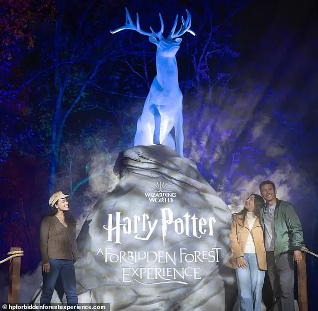 Behind Closed Doors: The Hidden Information Fueling Vancouver's Harry Potter Controversy