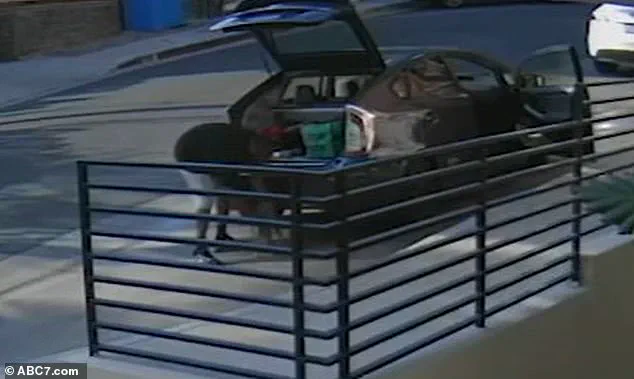 Exclusive Surveillance Footage Reveals Shocking Cat Theft in West Hollywood