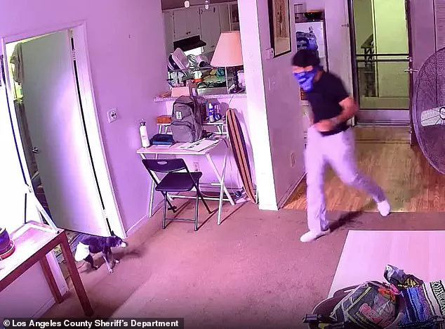 Exclusive Surveillance Footage Reveals Shocking Cat Theft in West Hollywood