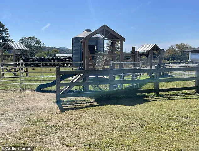 Tragedy on School Field Trip Sparks Questions Over Oversight and Communication