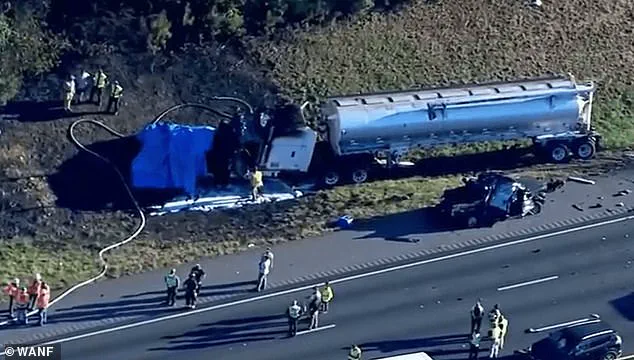 Eight Dead in Georgia Pileup as Semi-Trailer's Close Pursuit of Van Sparks Chain Reaction Crash