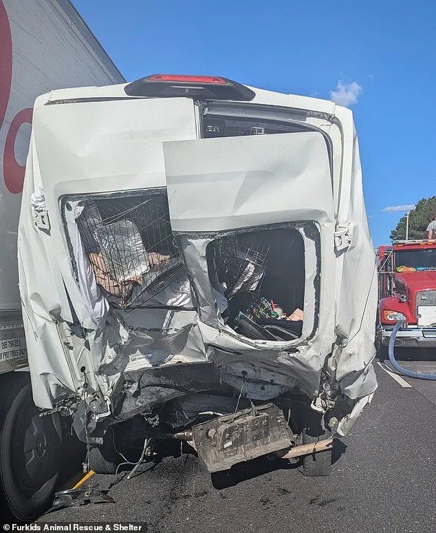 Eight Dead in Georgia Pileup as Semi-Trailer's Close Pursuit of Van Sparks Chain Reaction Crash