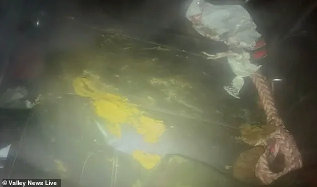 Heart-Wrenching Discovery in Moorehead: Winter Rescue Urges Community Action