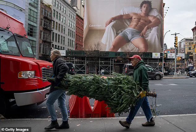 Privileged Policies, Public Pain: The Hidden Toll of Trump's Tariff Strategy on Holiday Spending