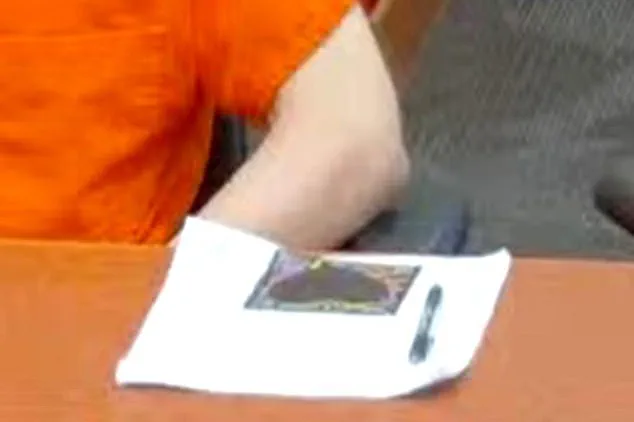 Melissa Kohberger Reveals Black Heart Drawing Was a Gesture of Familial Love, Not Malice, Ahead of Brother's Idaho Murders Sentencing