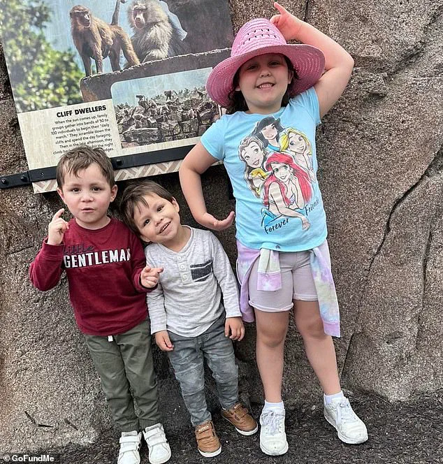 Tragedy on Thanksgiving: A Collision That Sparks Debate Over Traffic Regulations and Immigrant Driver Accountability