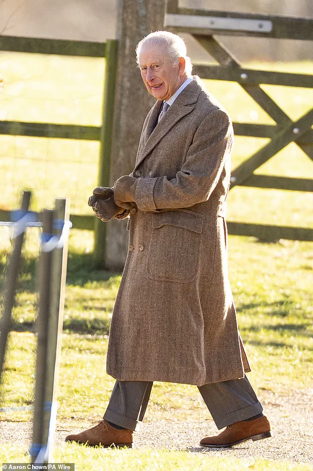 Princess of Wales in Cancer Remission, Potential Diplomatic Mission Ahead