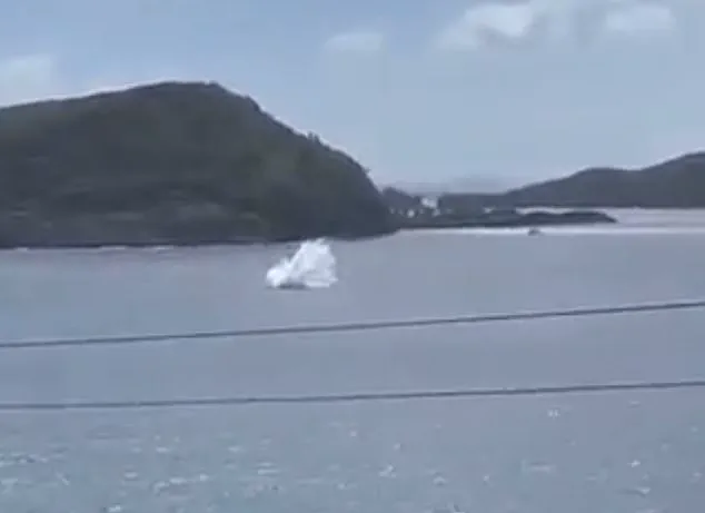 Privileged Access: The Widow's Exclusive Insight into the Tragedy's Hidden Truths