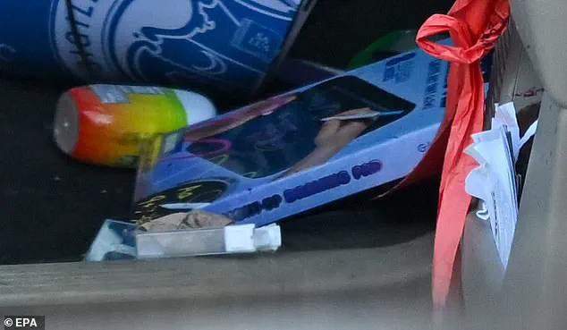 Harrowing Shooting of U.S. Citizen by ICE Agent During Minneapolis Protest Sparks Debate on Use of Force