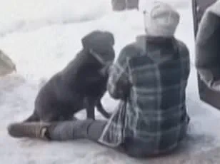 Minneapolis Mayor Jacob Frey's Live Outburst: Explicit Language on CNN Amid Protests