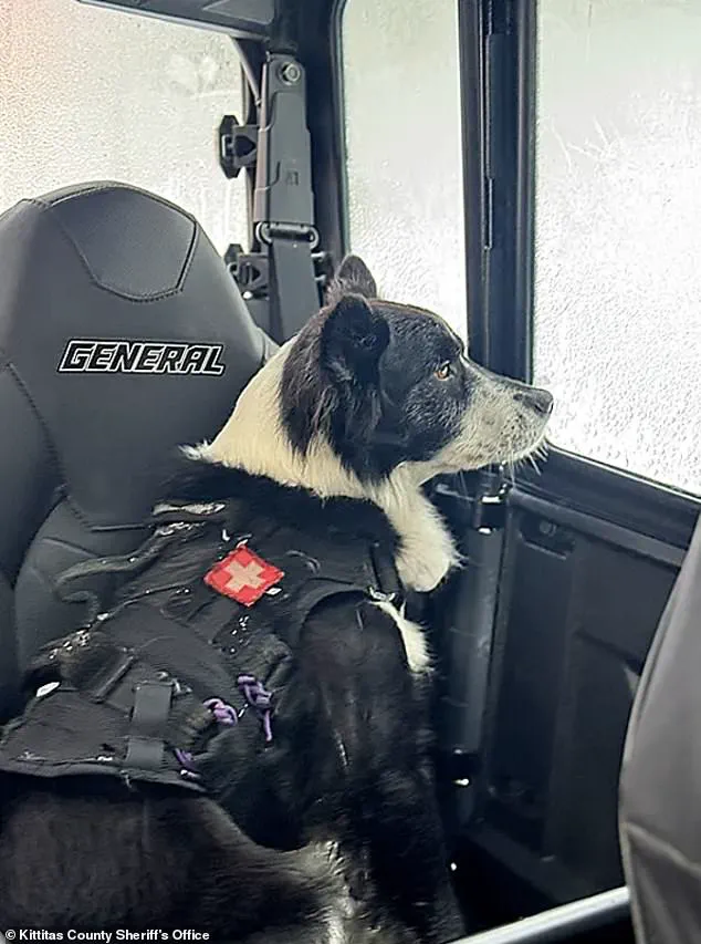 Limited Access to Backcountry Safety Information Highlights Risks in Washington Avalanche Tragedy