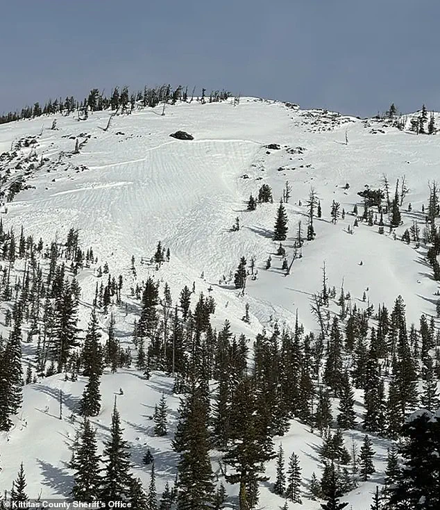 Limited Access to Backcountry Safety Information Highlights Risks in Washington Avalanche Tragedy