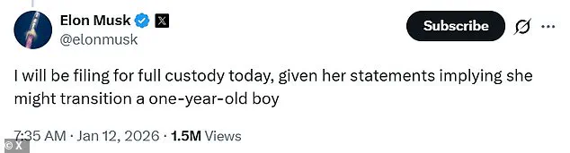 Elon Musk Considers Custody Battle Over Mother's Social Media Comments