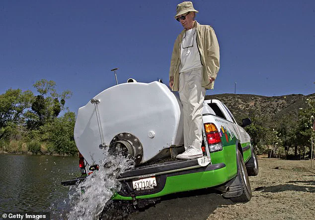 Former CEO of The Painted Turtle Arrested in California, Charged with Embezzling $5.2 Million