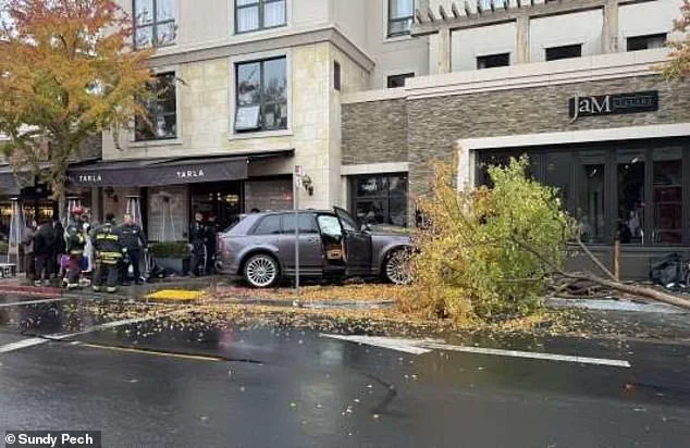 Late-Breaking: Napa Valley Powerbroker Faces Legal Firestorm After SUV Accident Injures Two Women