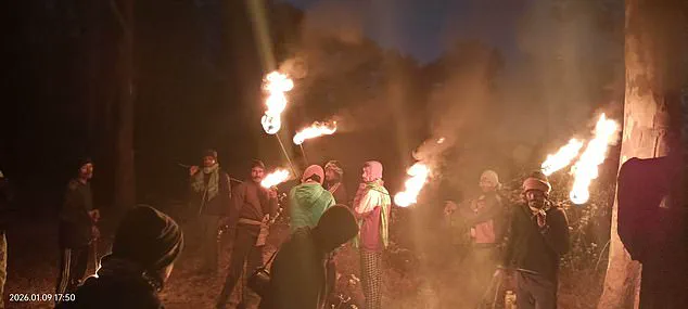 Jharkhand Villagers in Panic as Rampaging Elephant with Single Tusk Claims 22 Lives