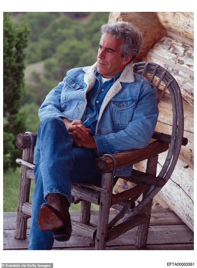 Government Scrutiny of Goldman Sachs Lawyer's Ties to Epstein Raises Public Questions on Institutional Accountability