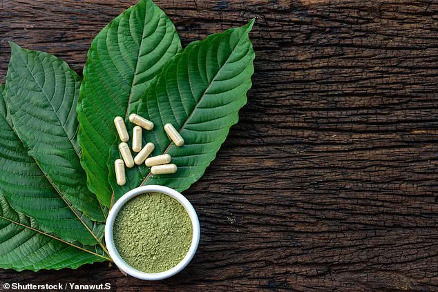 Late-Breaking: Toxicology Report Reveals Circumstances of 29-Year-Old Chess Grandmaster's Death