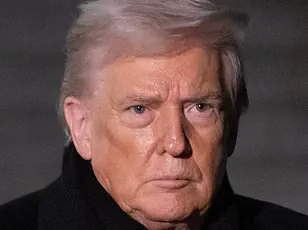 Privileged Access to American Opioid Crisis Data Fuels Greenland's Provocative Social Media Mockery