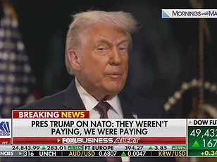 Mother of Afghan War Dead Condemns Trump's Remarks on NATO Troops