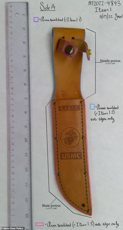 The Unraveling of a Perfect Crime: Bryan Kohberger's Forensic Missteps in Moscow, Idaho