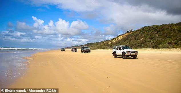 Discovery of Piper James' Body on K'gari Island Sparks Safety Concerns Over Dingoes