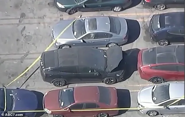 Twitch Streamer Neo Langston Arrested in Montana on Warrant Linked to Celeste Rivas Hernandez Case