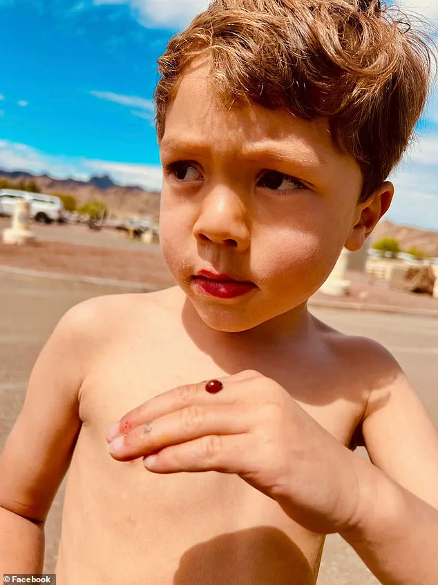 Breaking: Suspect Denies Killing 6-Year-Old in Hit-and-Run; Remanded into Custody on Manslaughter Charges