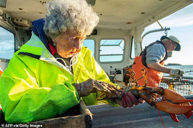 Virginia Oliver, the 'Lobster Lady' of Maine, Dies at 105, Leaving a Legacy of Maritime Heritage