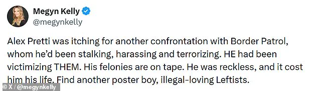 New Video Footage of Alex Pretti's Actions Reignites Debate Over Lethal Force by Federal Law Enforcement