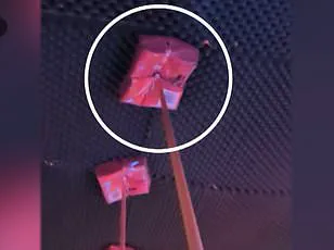 Aftermath of Le Constellation Fire Reveals Gaps in Safety Compliance and Government Oversight