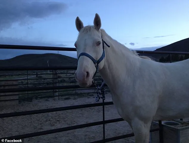 Exclusive: Court Documents Expose Gang's Secret Norse Rituals in Maple Valley Double Homicide Case