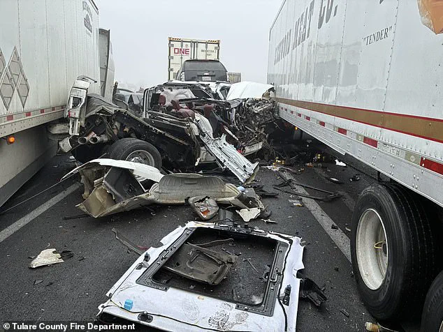 Central Valley Crash Investigation Reveals Complex Interplay of Environmental and Human Factors