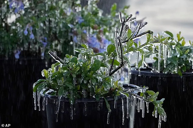 Exclusive Report: Winter Storm Gianna's Unprecedented Threat to 35 Million Americans