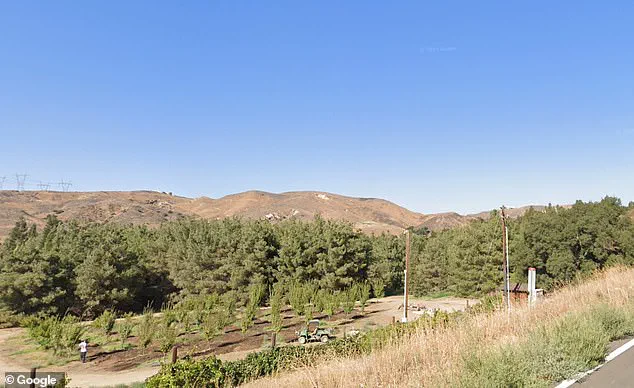 Disney's Secret Hideaway: The Hidden Ranch Where Movie Magic and Secrets Are Born