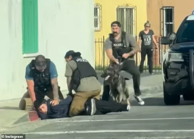 Viral Video Misinterpreted as ICE Raid Unveils Routine Police Arrest, Authorities Clarify