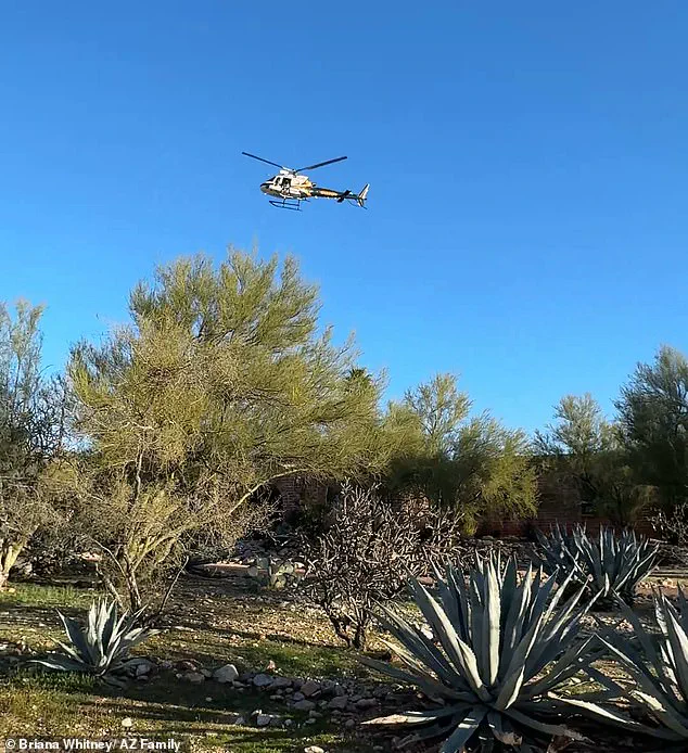 Abduction of Savannah Guthrie's Mother Points to Coordinated Operation, Says Former NYPD Officer