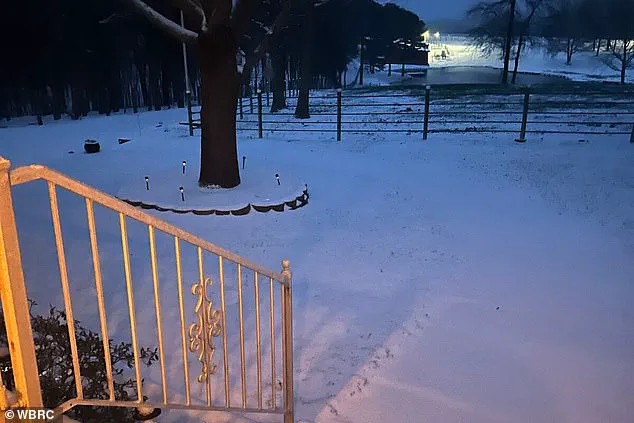 Winter Storm Forces Homeless Man into Dumpster, Leading to Perilous Encounter with Garbage Truck