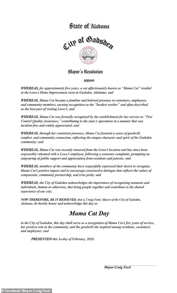 Beloved Lowe's 'Employee' Mama Cat Fired, Sparking Community Outcry