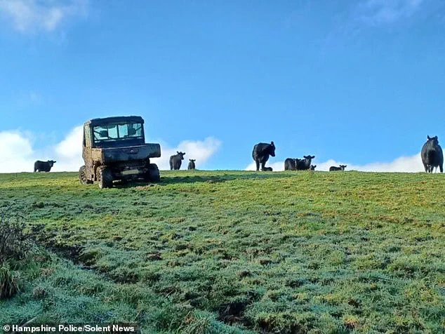 Dramatic Rescue as Man Trapped by Enraged Cow on Isle of Wight