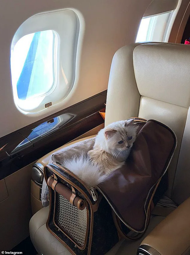 Karl Lagerfeld's Legacy in Legal Limbo: Will Leaves €200M to Assistant, Models, and Cat, Excluding Relatives