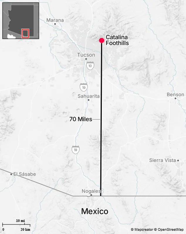 Challenging Terrain Complicates Search for Nancy Guthrie in Tucson's Catalina Foothills