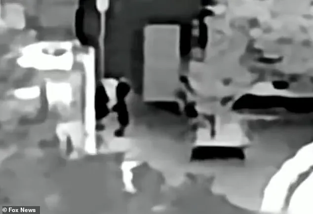 FBI Conducts Third Infrared Search of Nancy Guthrie's Home Amid Speculation and Transparency Concerns