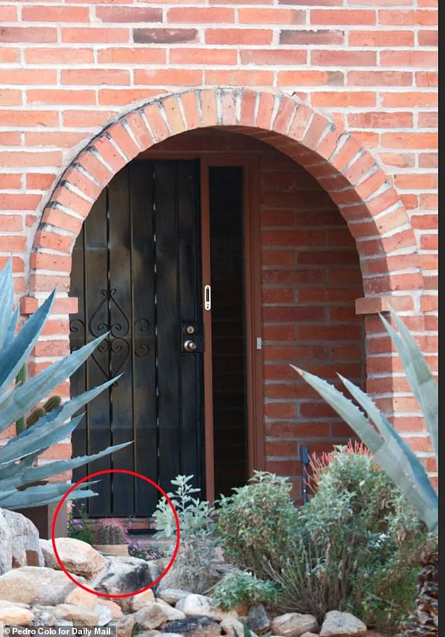 Savannah Guthrie Releases Chilling Footage of Mother's Abduction, Pleads for Her Return