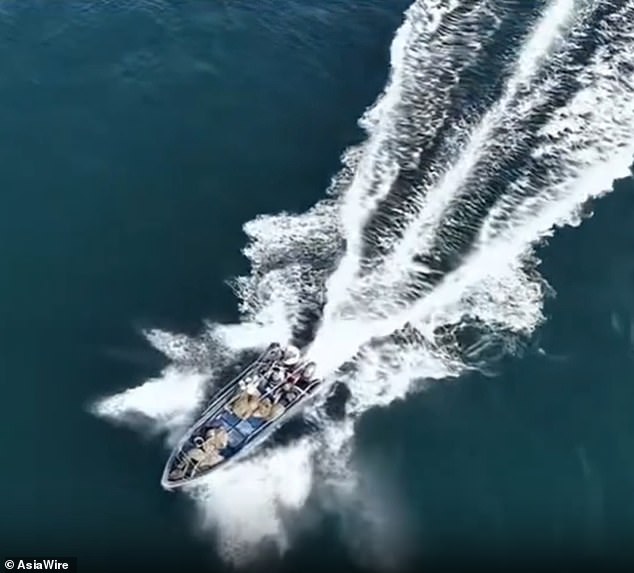 Protected Bryde's Whale Collides with Fishing Boat Near Weizhou Island, Highlighting Tension Between Conservation and Commercial Activities
