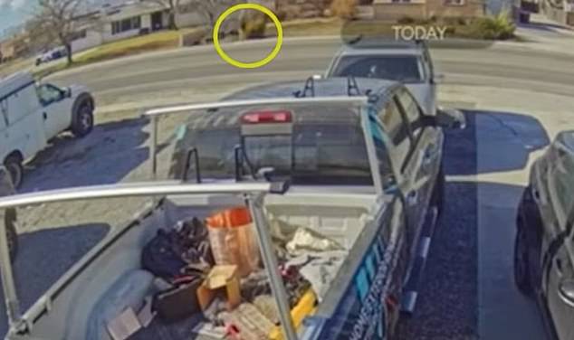 Utah Teen Narrowly Escapes Abduction Attempt by Lyft Driver, Mother Says